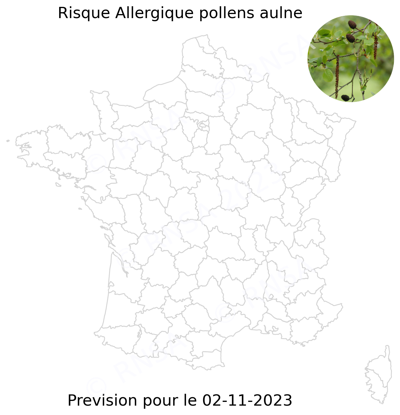 Risque allergique vis à vis du pollen d'Aulne dans le Centre - Val de Loire
